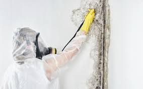 Best Dehumidification Services  in Swarthmore, PA